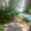なのはな勉強会 ⟡.·