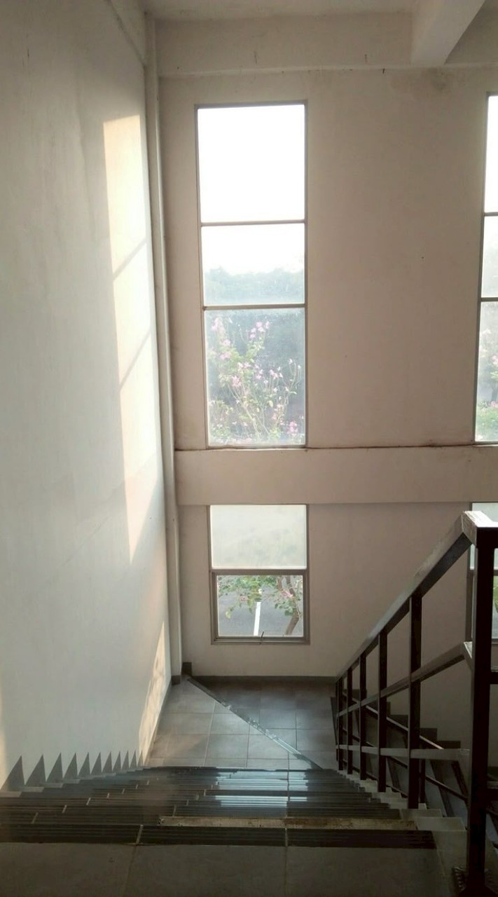 มหาลัยบอทเบบิ้บัสห์