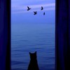 いつでも暇なやつ来いよ