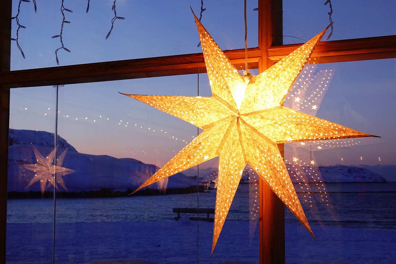 旅遊攝影師貝琪梨的極地遠征！Sony RX10 IV 極光 / 飛羽實戰拍攝分享