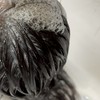 RJミルキーウェイ倶楽部