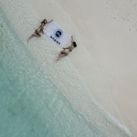 海平面潛水旅遊 | 歡迎互相種草揪潛伴