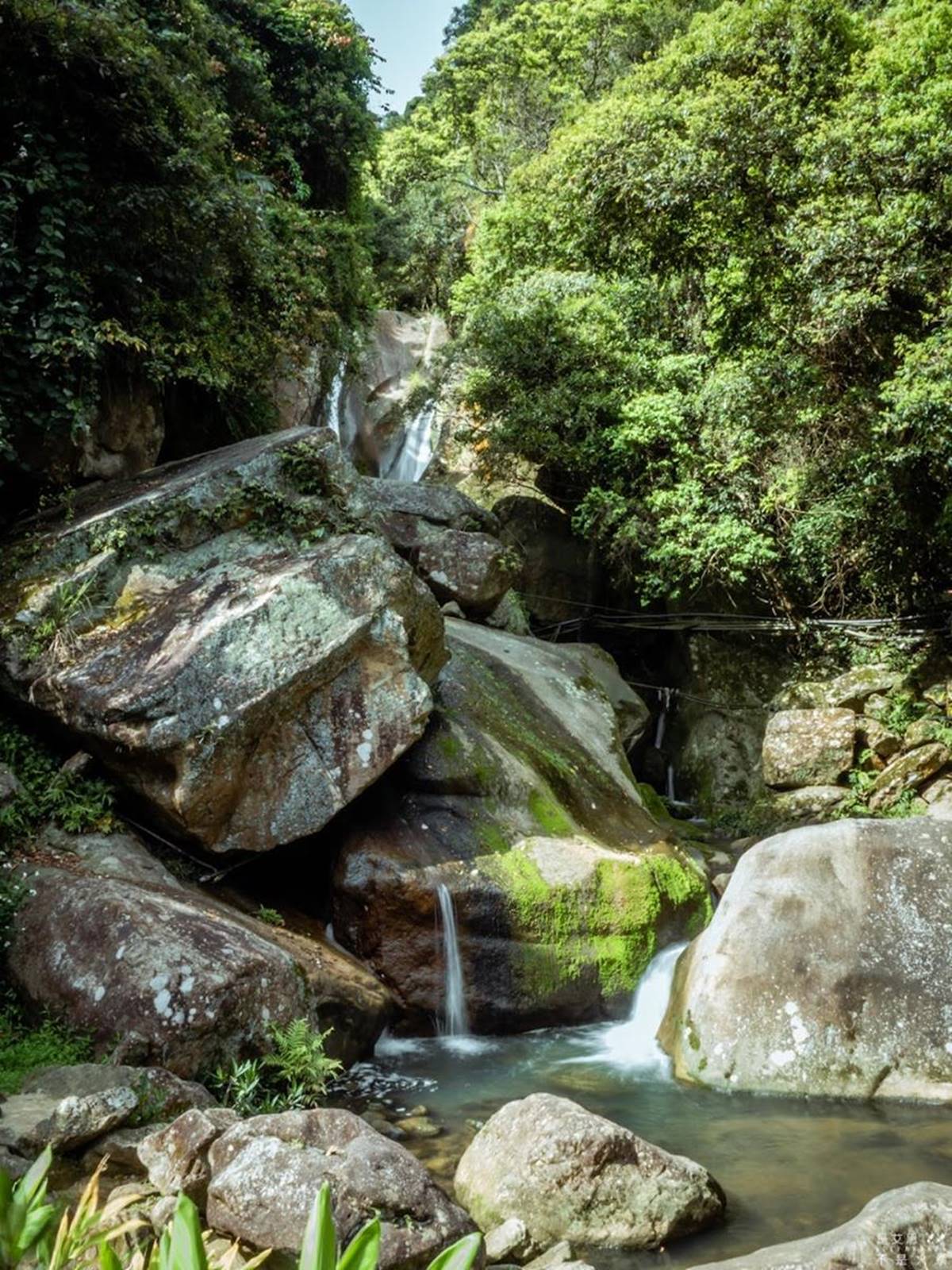 輕鬆好走不費力！內湖６條森林步道：80米「S型空中長廊」、紫色龍形吊橋