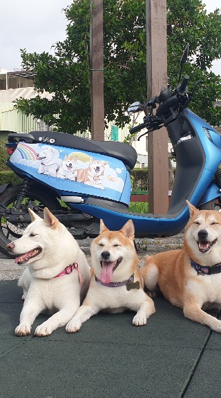 從台南出發的電動車環島😃