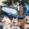 從台南出發的電動車環島😃