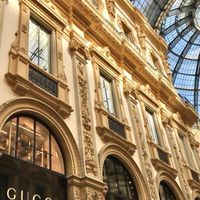 Modavita in Italy 歐洲連線
