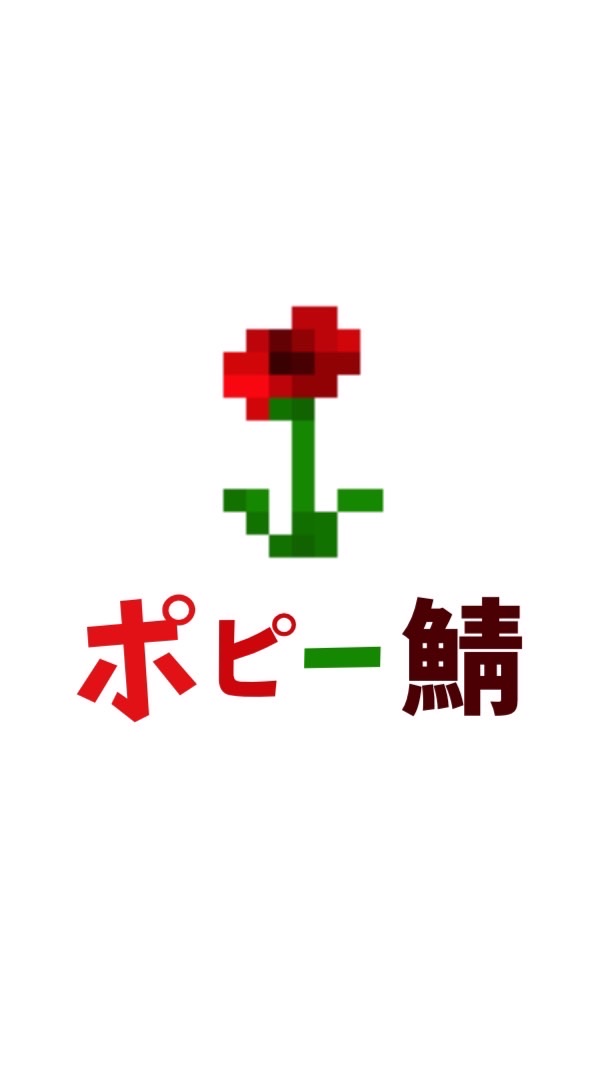 ポピー鯖 Minecraft統合版地球建国経済鯖