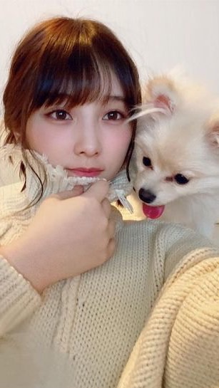 乃木フラもちお