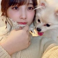乃木フラもちお