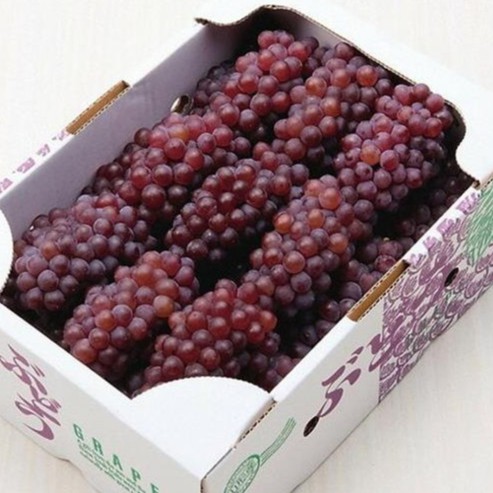 【果之蔬】日本原裝島根/山梨縣珍珠葡萄2kg±10%/含箱重(13-17串)