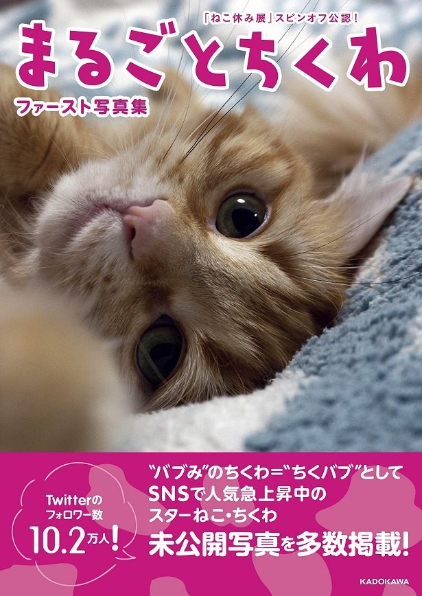 猫なのに二重 ねこ休み展 スピンオフ公認 まるごとちくわ 1