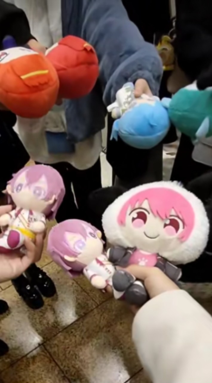 ぬいぐるみの企画やる人❕限定‼️