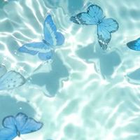 女性限定★離婚準備★
