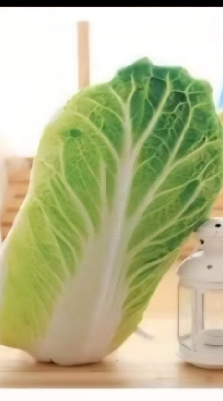 俗擱青蔬果批發零售