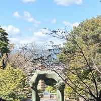 241103比治山ParkSession
