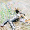 みんなでゲームやるよ！【募集/ディスコード/雑談】