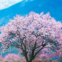 ゆるく株の話をしよう