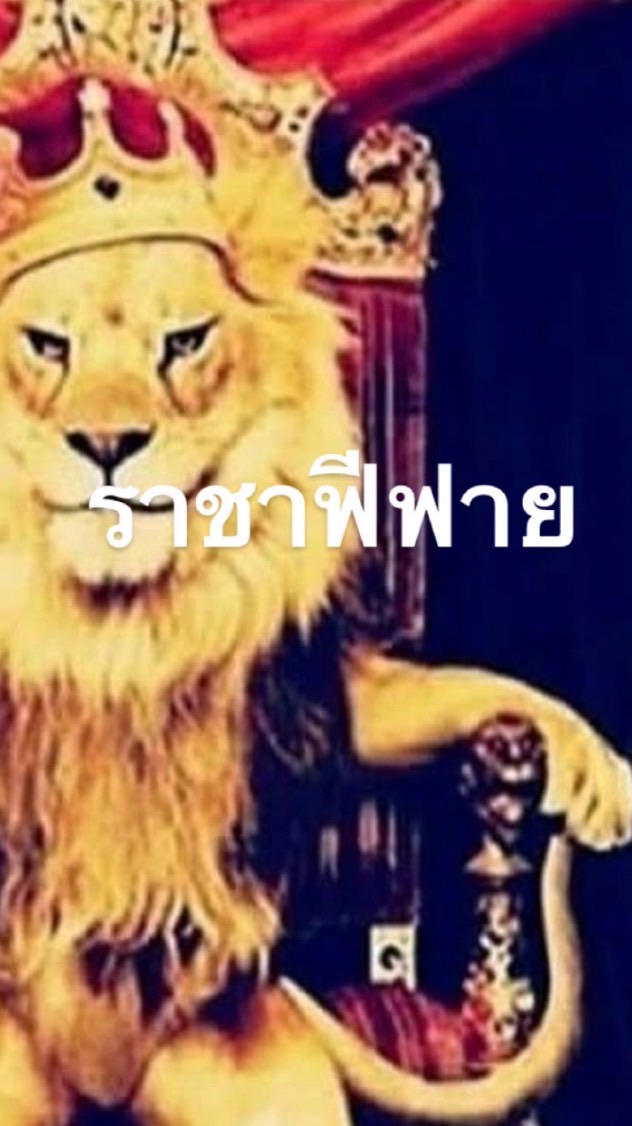 สมาชิกแคลนฟีฟาย 1-4