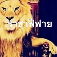 สมาชิกแคลนฟีฟาย 1-4