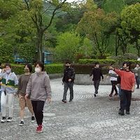 徳大・米川情報収集