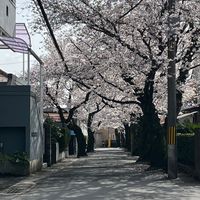 七ッ池下子ども会連絡用