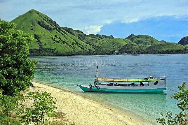 60 Kapal Wisata Berlabuh Di Labuan Bajo Setiap Hari