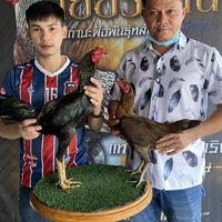 ซุ้มน.นำชัย