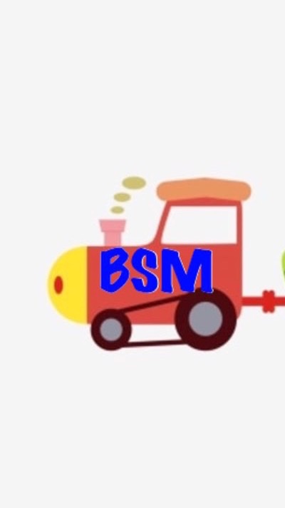 BSM陸陸代購·大陸