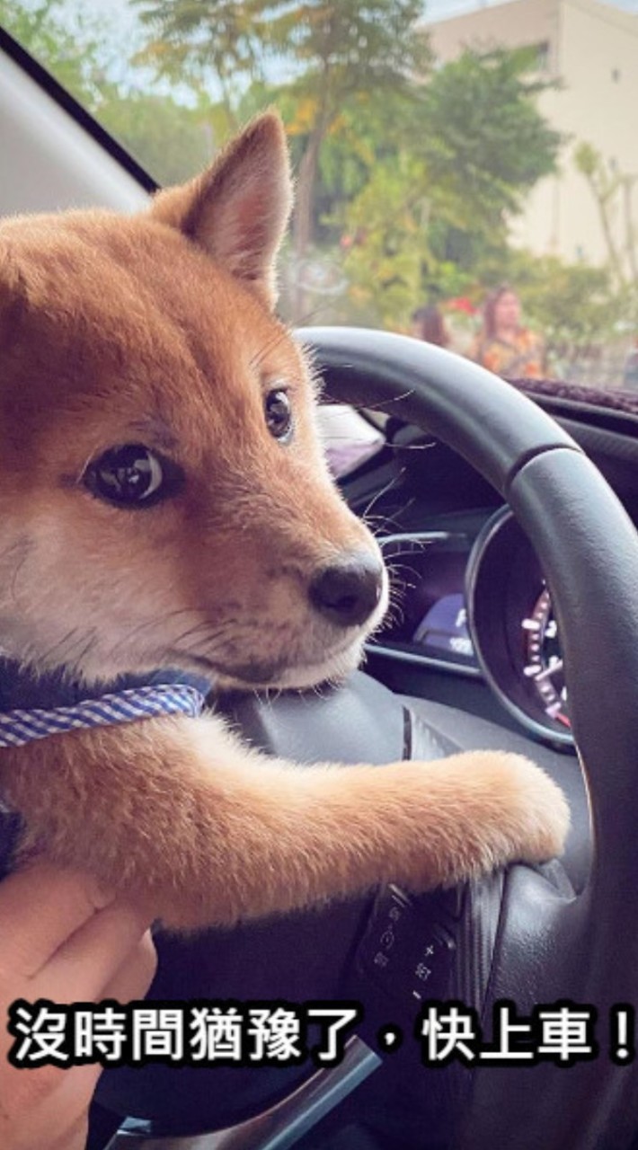 上車