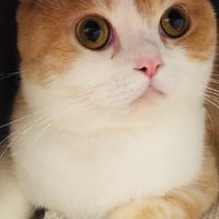 miki粉絲群