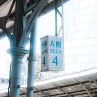 卡嚓喀擦📷✨