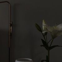 絲奈の小寶寶