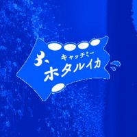 キャッチミーホタルイカ - 捕獲情報シェア