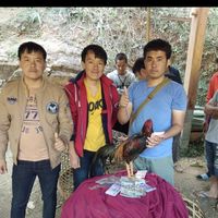 ซุ้ม ช ดวงดี