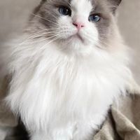 🐱貓狗鏟屎官、各類寵物經驗分享樂園、愛護動物協會、流浪動物收容保護。