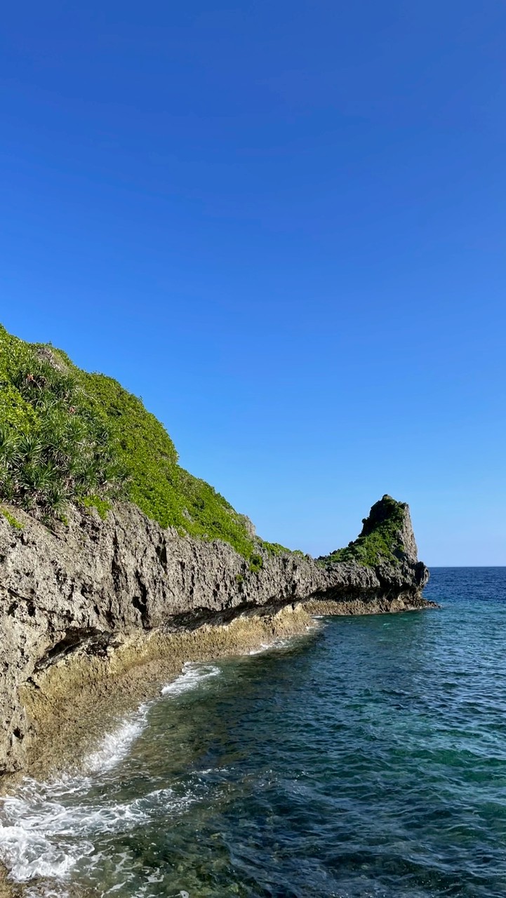 沖縄セルフダイビング好き集まれ〜🌴
