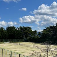 🎾静岡県中部東部硬式テニス〜カフェオレ〜🎾