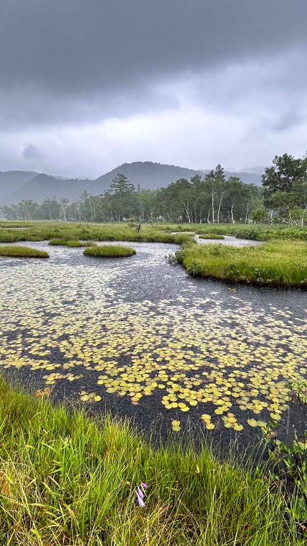 [イベントお知らせ用]ムササビ自然探究学校