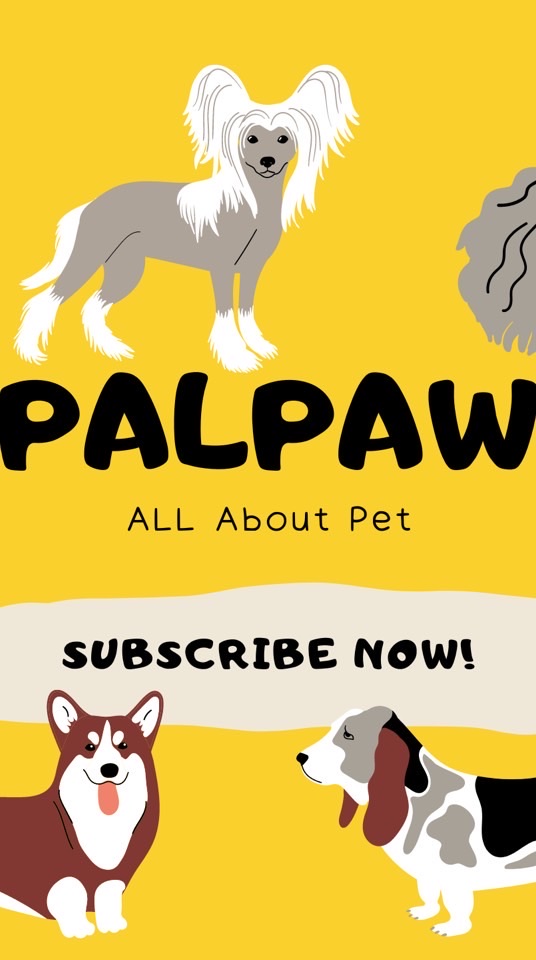 Palpaw