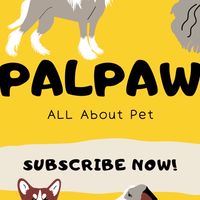 Palpaw