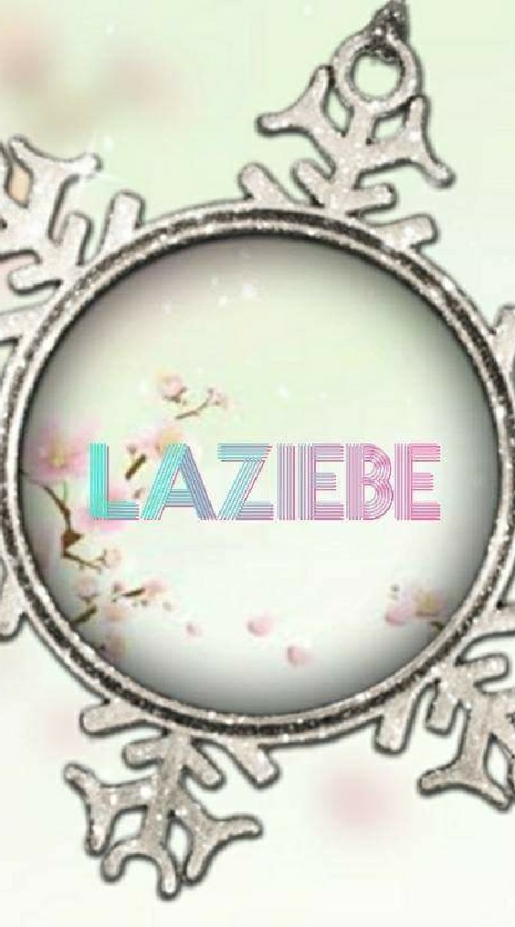 laziebe shop