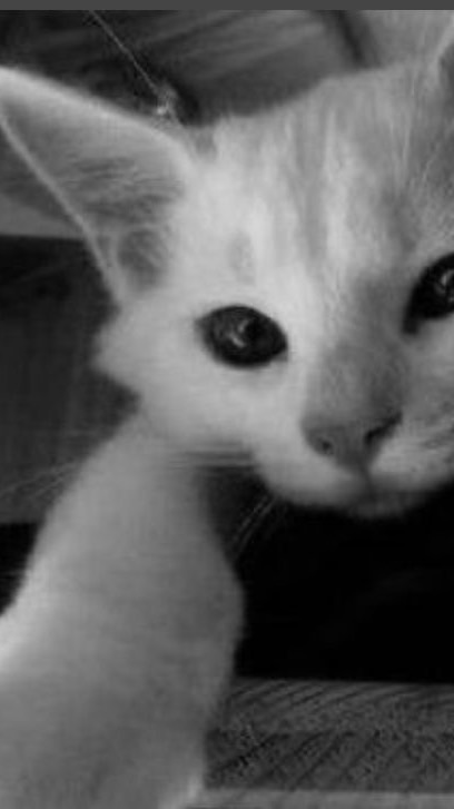 สำหรับการแชร์ประสบการณ์