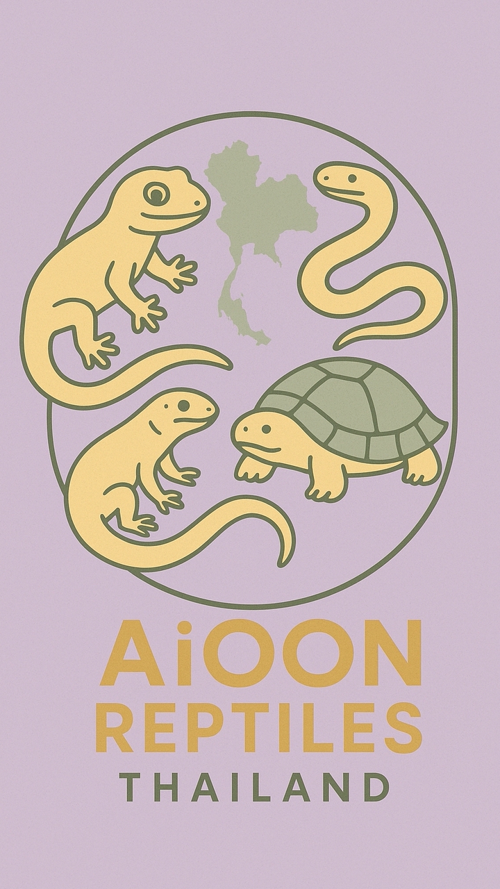 AiOON REPTILES THAILAND 🇹🇭🦖