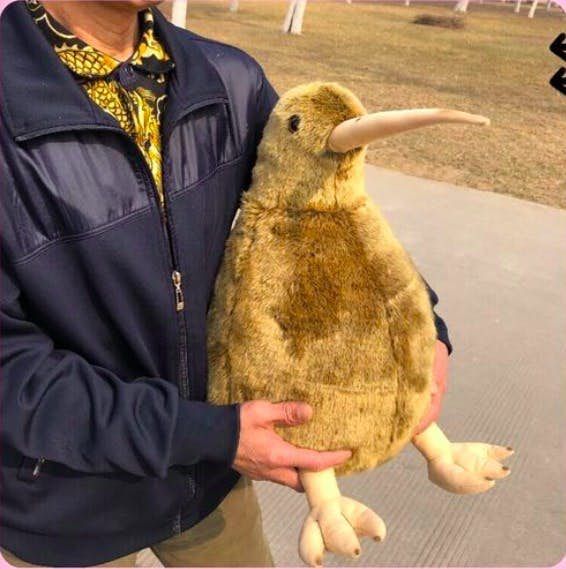 在陽光下的巨型奇異鳥玩偶毛髮呈現褐金色，如果不是那麼長而尖的鳥喙，還有點神似巨型小鴨仔！將她抱去公園走走拍照，沒仔細看的路人說不定已為你正在遛鳥呢～