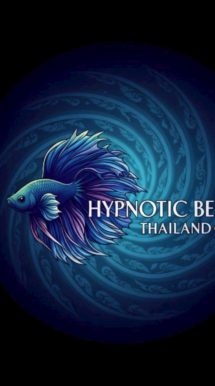 ปลากัดขอนแก่น​ Hypnotic​Betta​ Thailand​