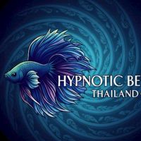 ปลากัดขอนแก่น​ Hypnotic​Betta​ Thailand​