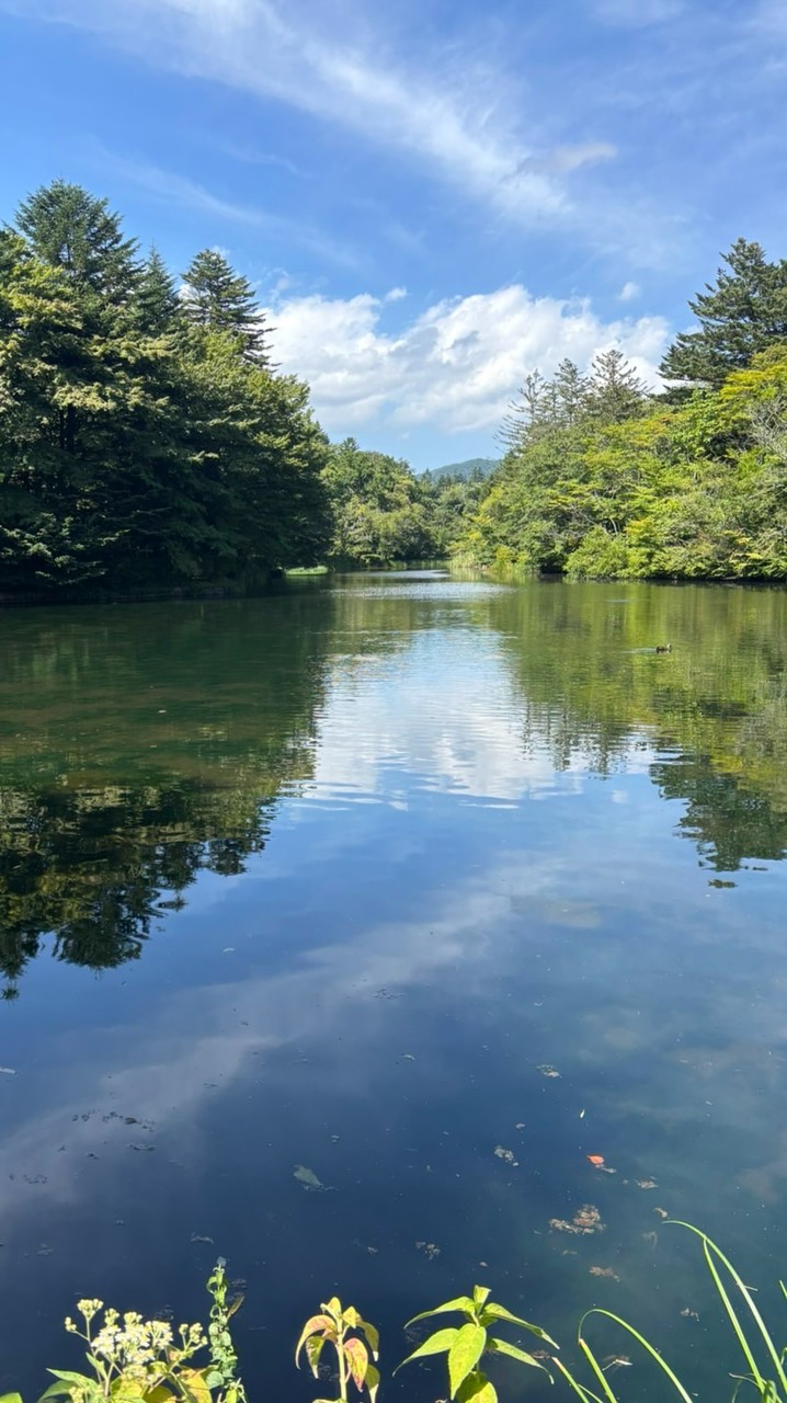 新企画