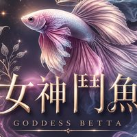 🌸女神鬥魚🌸鑑賞群