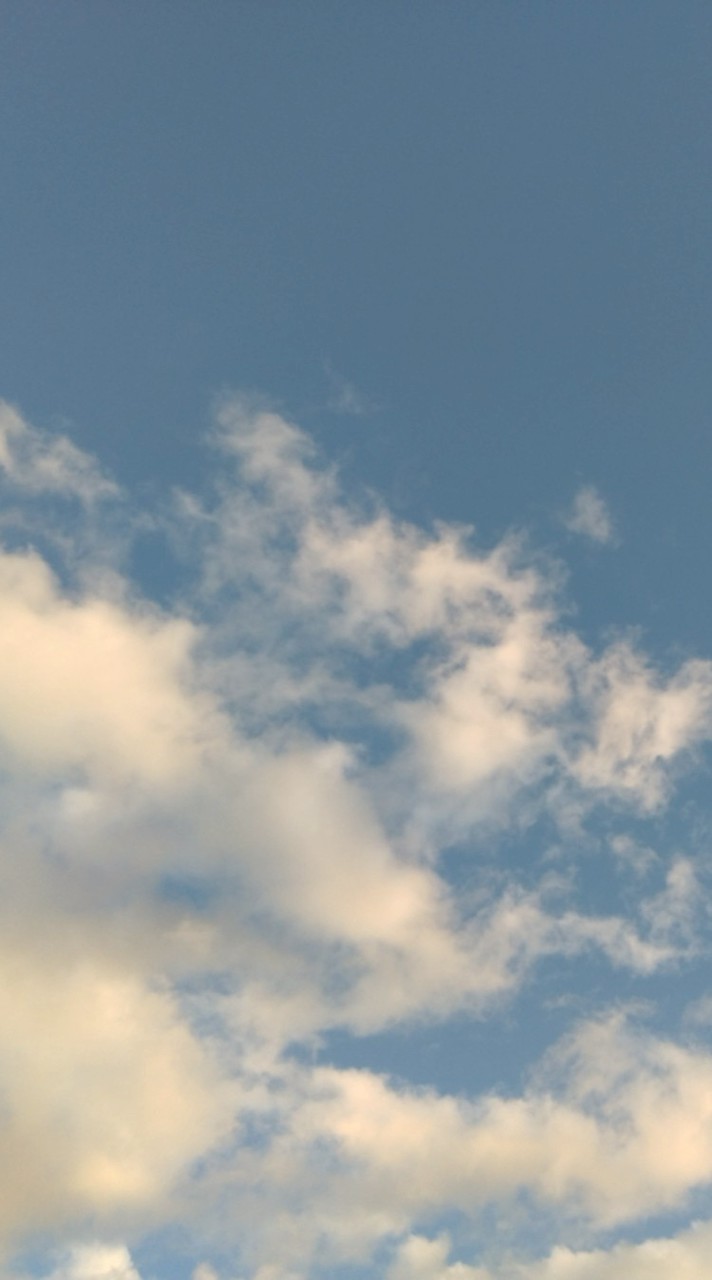 代理、オリキャラ描こうぞ！