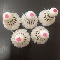淡水假日羽球團打球了!